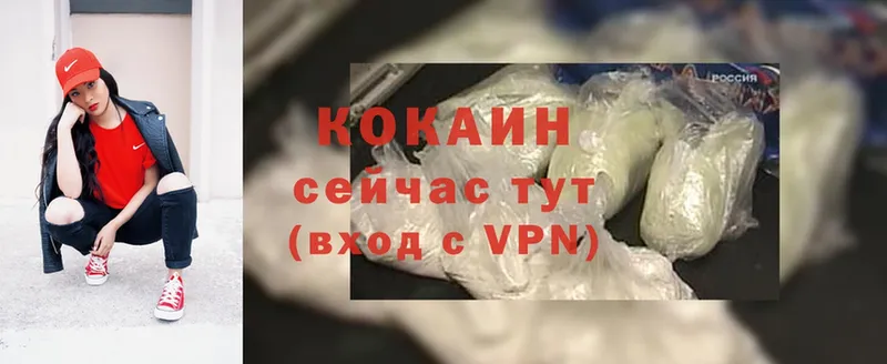 Cocaine Fish Scale  закладки  Чистополь 