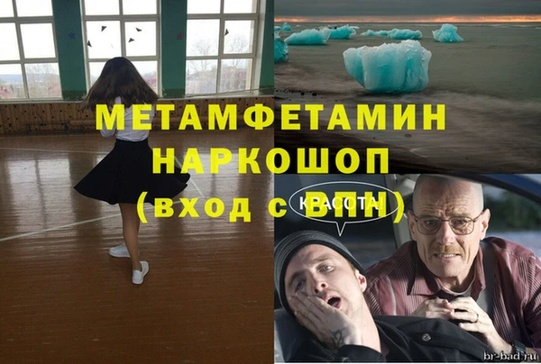 сатива Сосновка