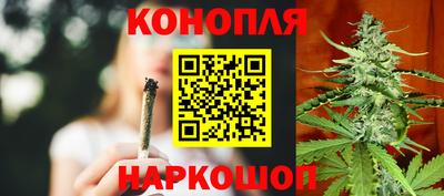 твердый Камышлов