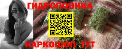 твердый Камышлов