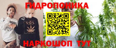 твердый Камышлов