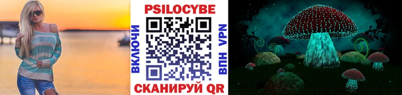 Галлюциногенные грибы Psilocybe OMG ССЫЛКА Чистополь