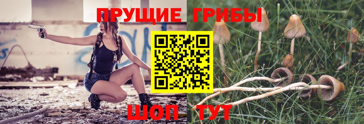 Чистополь  Псилоцибиновые грибы мухоморы  Вход с VPN  Галлюциногенные грибы GOLDEN TEACHER 