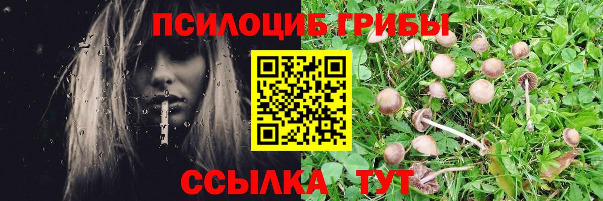 Псилоцибиновые грибы MAGIC MUSHROOMS Чистополь