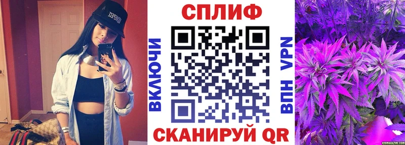 Канабис гибрид  Чистополь 