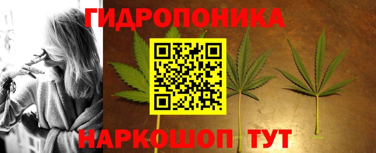 Бошки Шишки гибрид  Канабис LSD WEED  Конопля ГИДРОПОН  Вход с VPN  Чистополь 